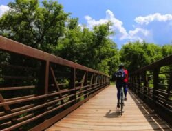 Online Graduate Programs In Mental Health Counseling