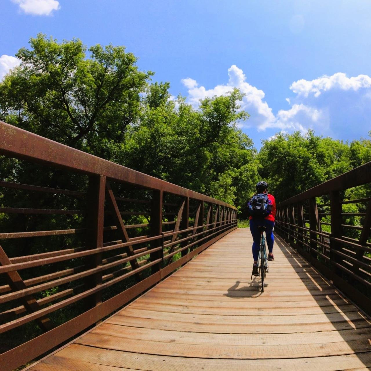 Solve Bicycle Bridge jigsaw puzzle online with 100 pieces