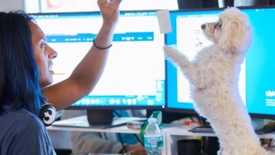 practicehub by chewy health Your Key to Translation Mastery