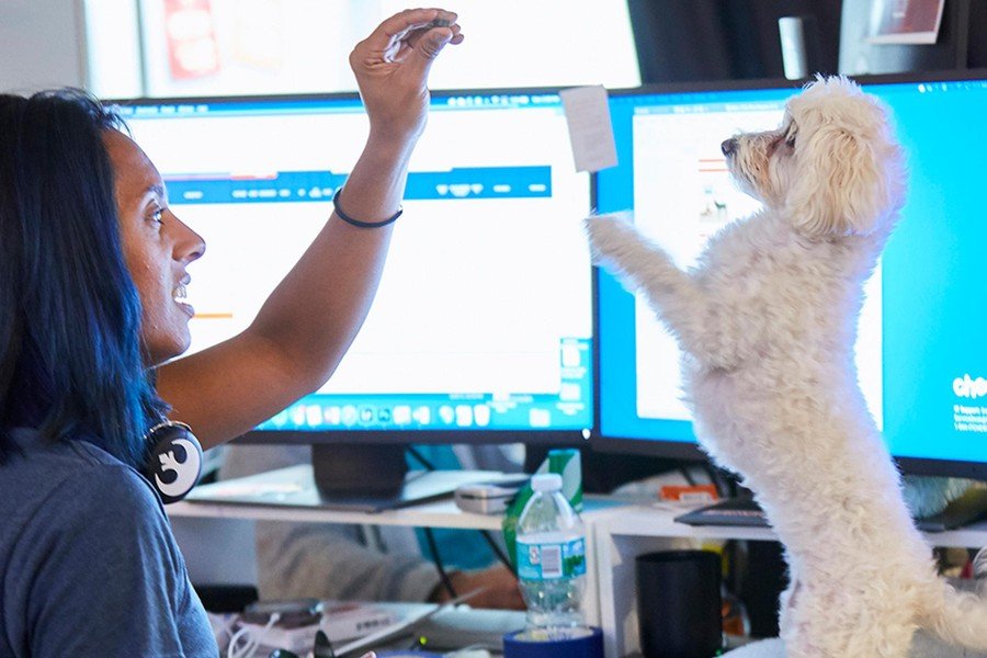 Practice Hub by Chewy Health for Android - Download