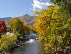 Golden Co Plumbers Your Go-to Solution For Plumbing