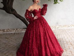 Gown And Stole Elegance In Graduation Attire