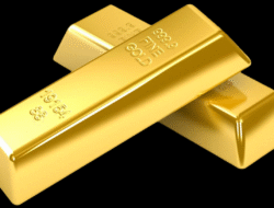 When Are Gold Kiwi In Season