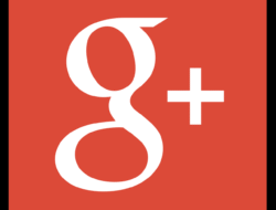 Google Workspace Set Up Tool Made Easy For Everyone