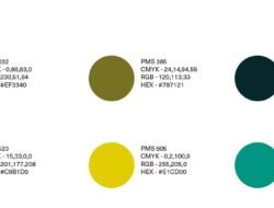 Rhyme University Cap And Gowns Celebration Essentials